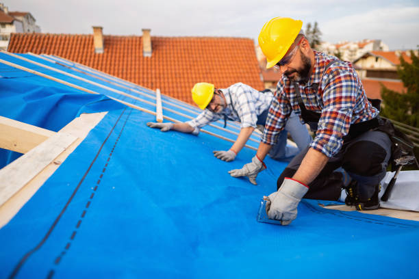 Best Roof Gutter Cleaning  in Jamesburg, NJ